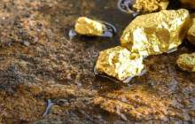 هند معادن طلا با ظرفیت 3 هزار تن کشف کرد