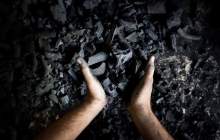 صادرات ذغال فشرده مجاز شد