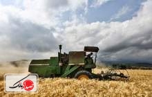 خرید تضمینی بیش از 7 میلیون تن گندم در بانک کشاورزی