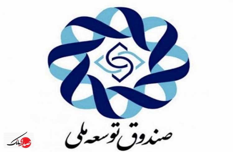 استفاده از منابع در بخش صیانتی ؛ دغدغه صندوق توسعه ملی