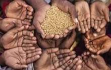عرضه گندم و برنج کوپنی در دومین کشور پرجمعیت جهان