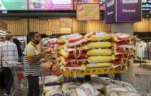 آغاز روند کاهشی قیمت برنج در بازار