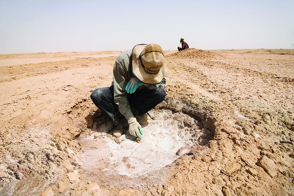 دلیل کم‌آبی بیکاری است نه کم بارشی یا مدیریت منابع آب!