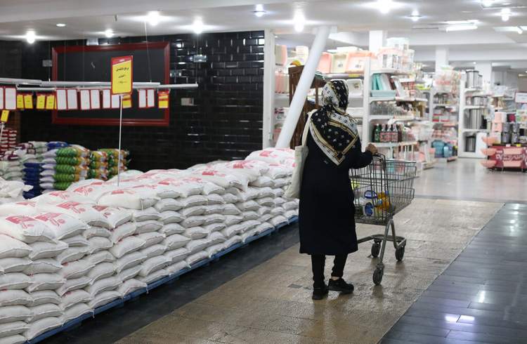 جدیدترین قیمت برنج ایرانی