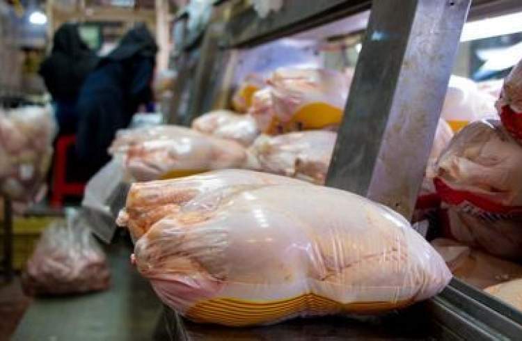 اتفاق عجیب در بازار مرغ؛ قیمت مرغ کشتار و گرم به هم رسید