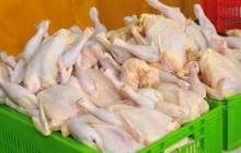 صدور مجوز واردات گوشت مرغ از روسیه