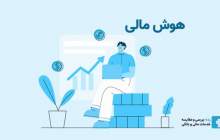 هوش مالی چیست؟