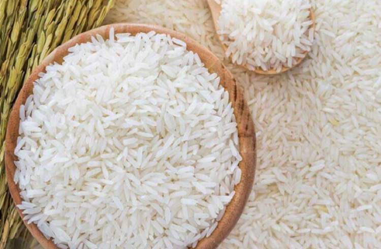 خرید ۹۰ تن برنج ارقام پر محصول در مازندران