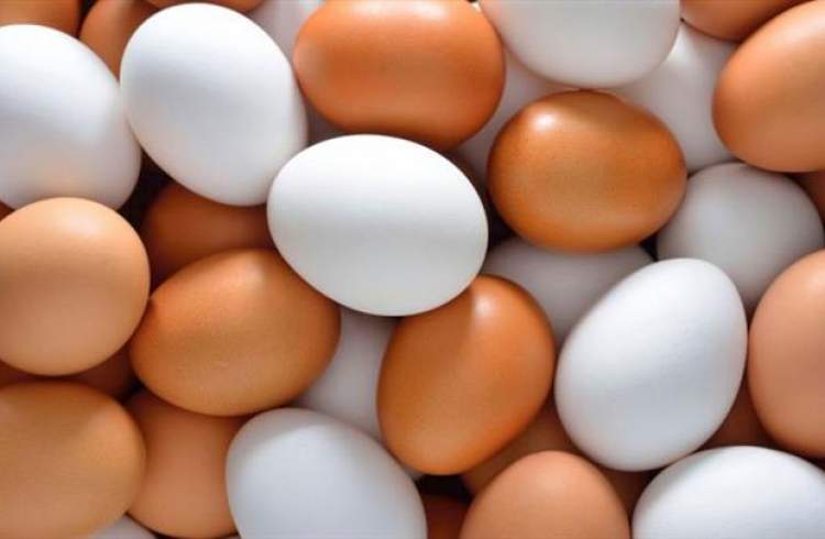 تخم مرغ در میادین تره بار تهران؛ کیلویی ۴۵ هزار تومان