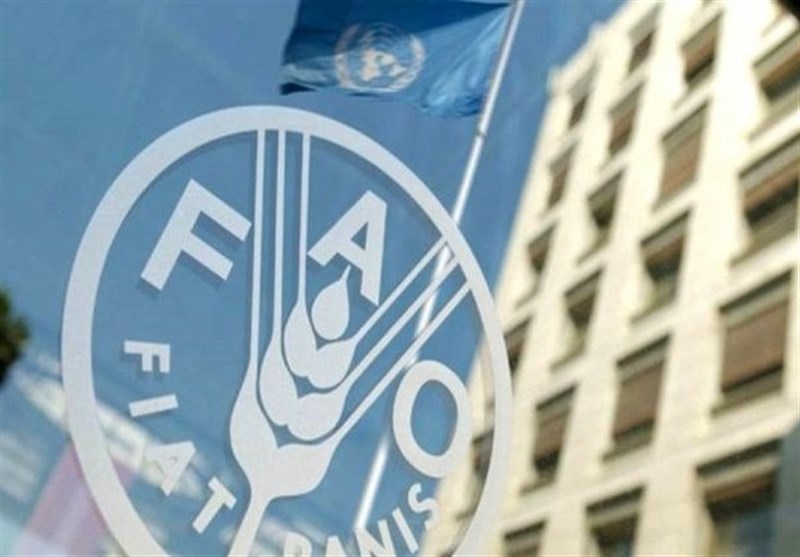 گزارش فائو از رتبه‌های تک‌ رقمی ایران در تولید ۲۰ محصول کشاورزی