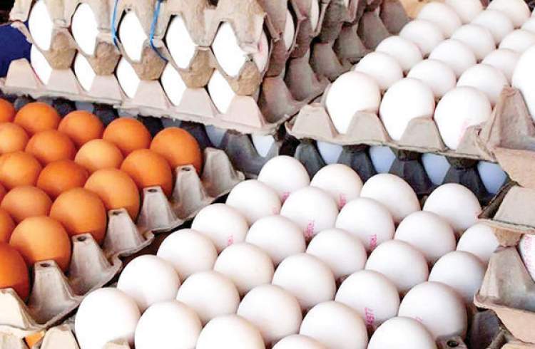 قیمت هر کیلوگرم تخم مرغ برای مصرف‌کننده ۴۷ هزار و ۲۰۰ تومان تعیین شد