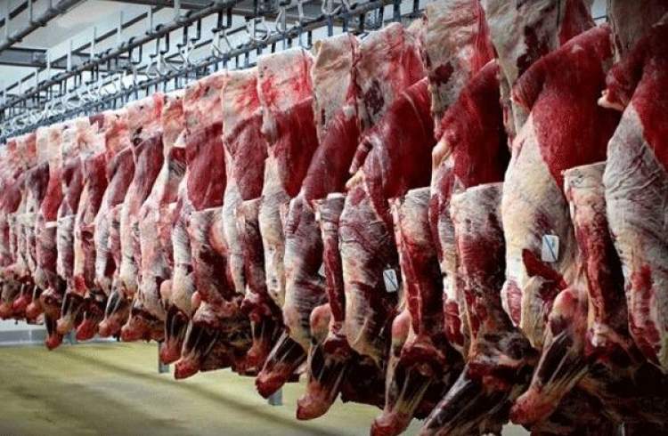 قیمت‌های فعلی بازار گوشت قرمز کاذب است