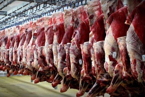 عرضه گوشت گوسفندی ۲۳۲ هزار تومانی در میادین تهران و تکذیب گوشت ۵۰۰ هزار تومانی