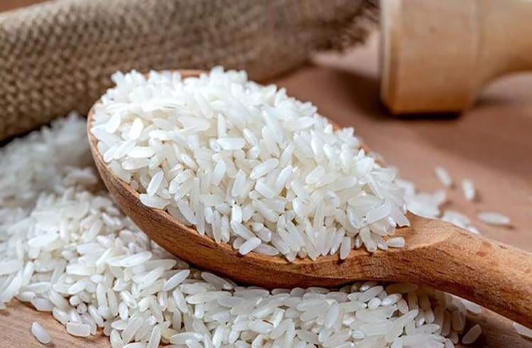 بازار برنج ایرانی در رکود کامل است
