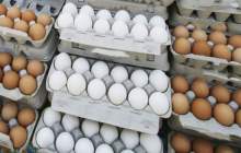 قیمت مصوب هر کیلو تخم مرغ برای مصرف کننده