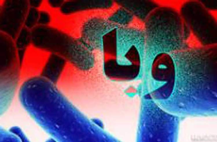 مقابله با وبا از خرداد آغاز می‌شود