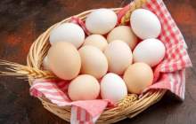 ممنوعیت صادرات تخم مرغ لغو شد