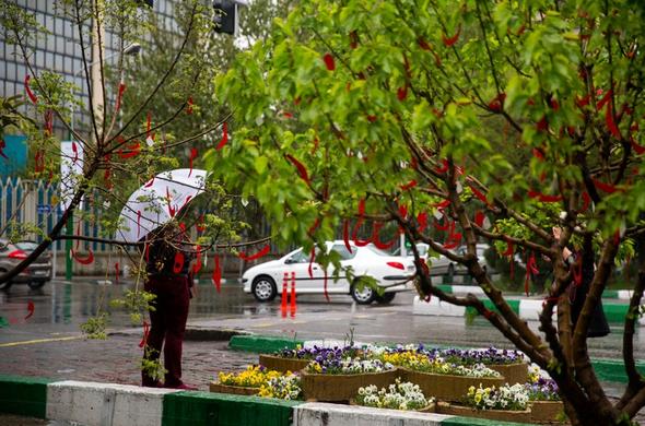 هجوم برف و سرما به ایران در آخر هفته