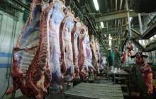 افزایش عرضه دام و کاهش قیمت گوشت در بازار طی هفته‌های آینده